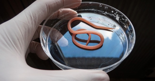 These 10 terrifying images of the Ocean are sure to give you nightmares